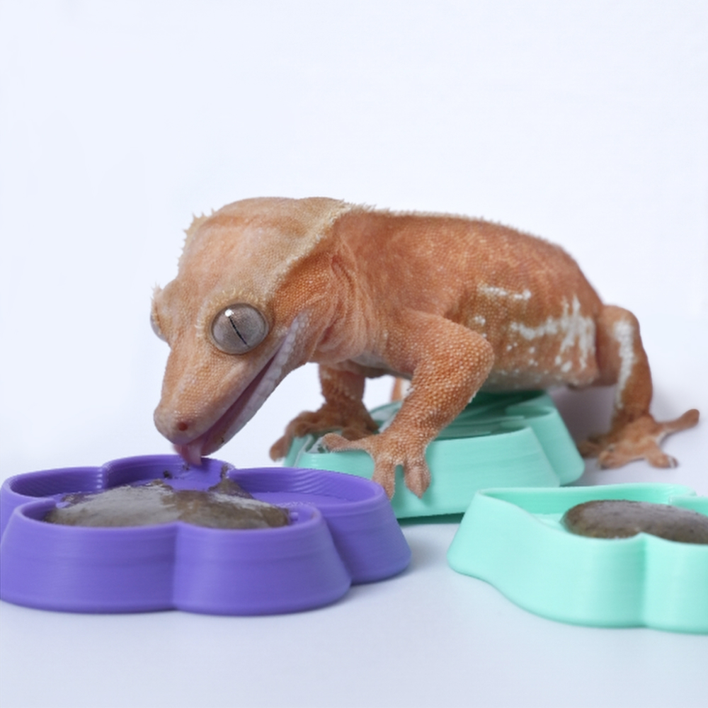 3D Printing Food - Reptile Feeding Dish, 3D Printed Flower