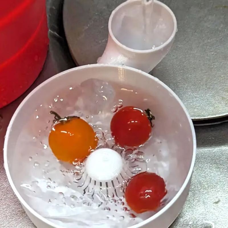 Fruit Spinner Portable Fruit W - 3D Printing Food 리뷰 및 가격