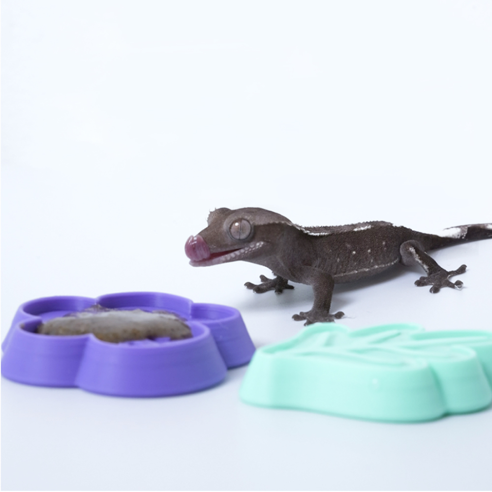 Reptile Feeding Dish, 3D Print - 3D Printing Food 리뷰 및 가격