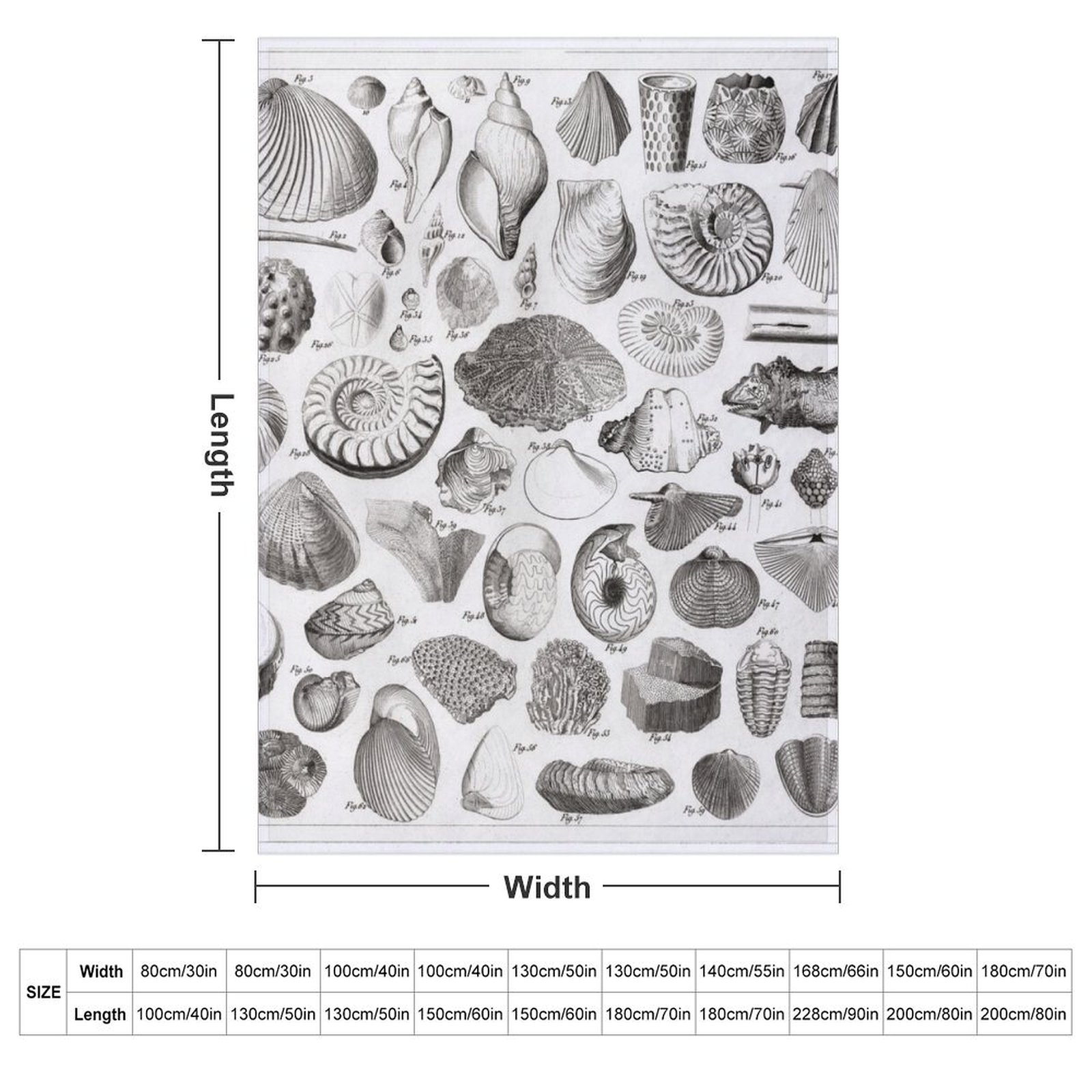1857 Diagram Paleontology: Fos - 3D Printing Diagram 리뷰 및 가격