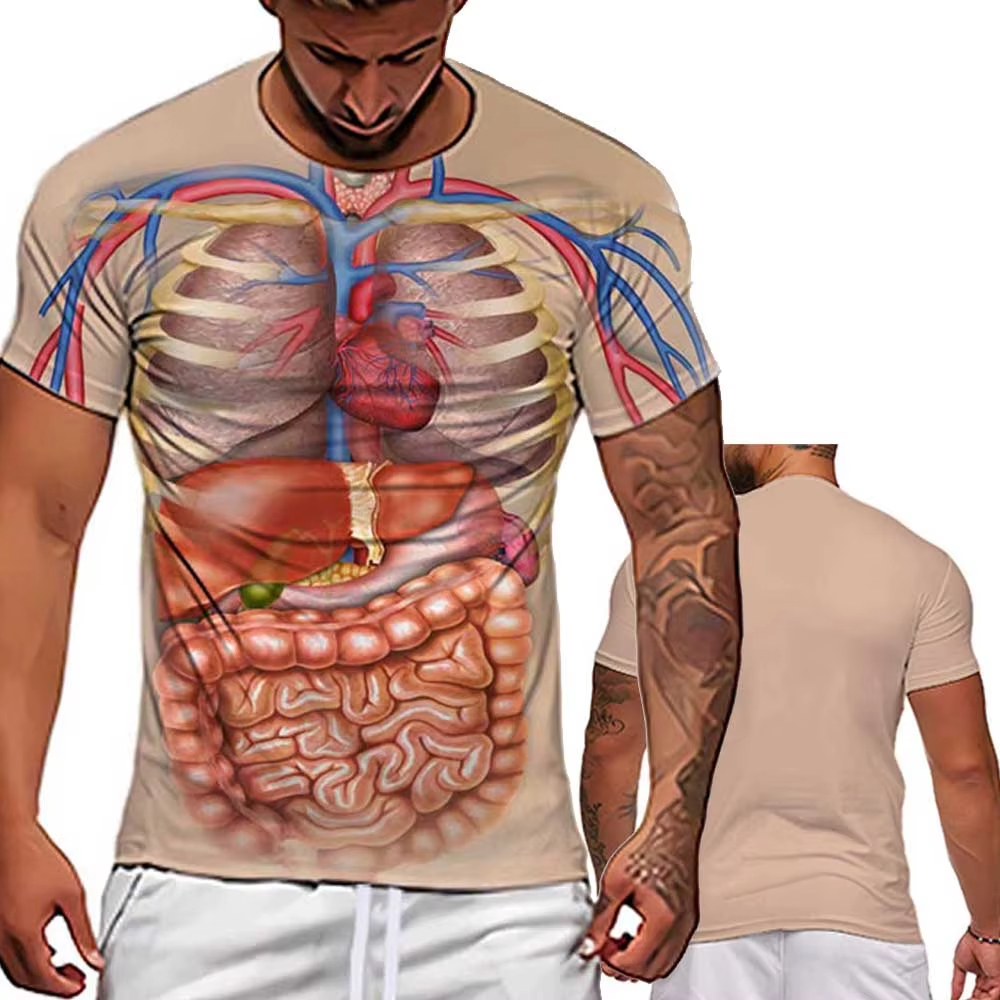 Male Skeleton Internal Organs  - 3D Printing Diagram 리뷰 및 가격