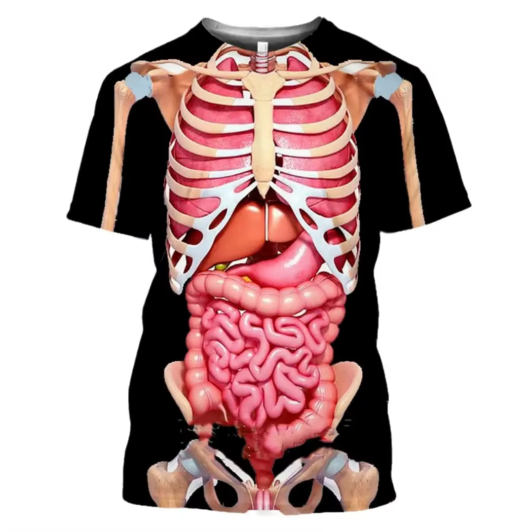 Male Skeleton Internal Organs  - 3D Printing Diagram 리뷰 및 가격