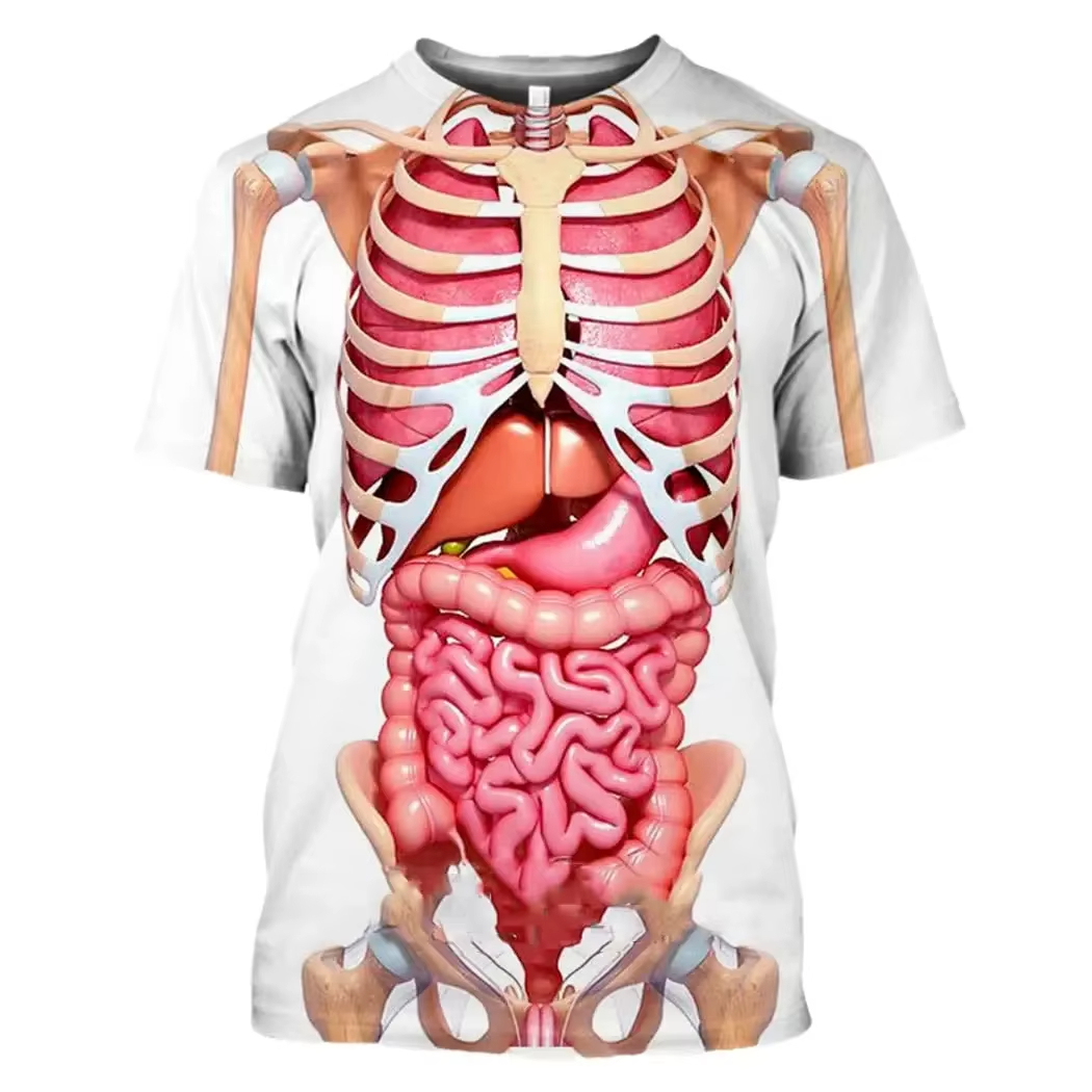 Male Skeleton Internal Organs  - 3D Printing Diagram 리뷰 및 가격