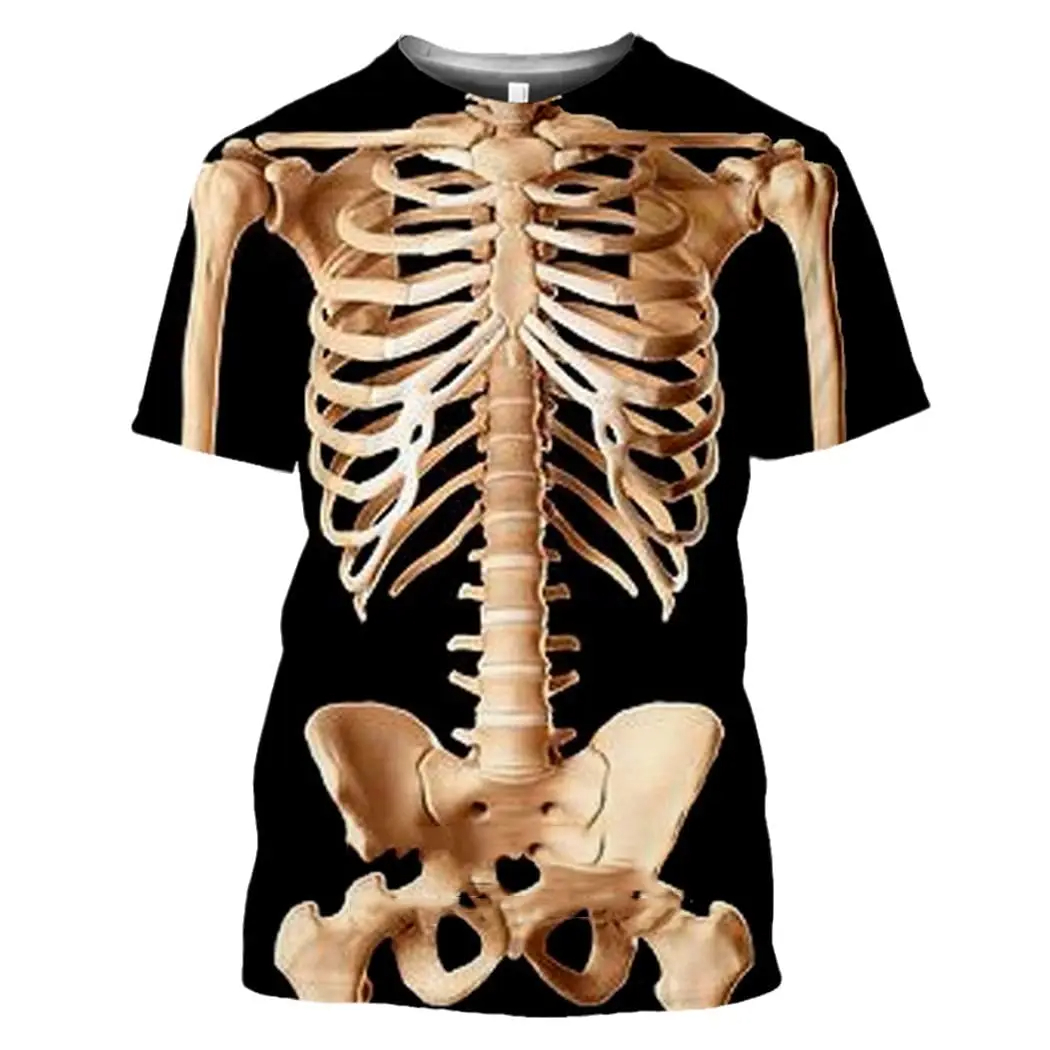 Male Skeleton Internal Organs  - 3D Printing Diagram 리뷰 및 가격