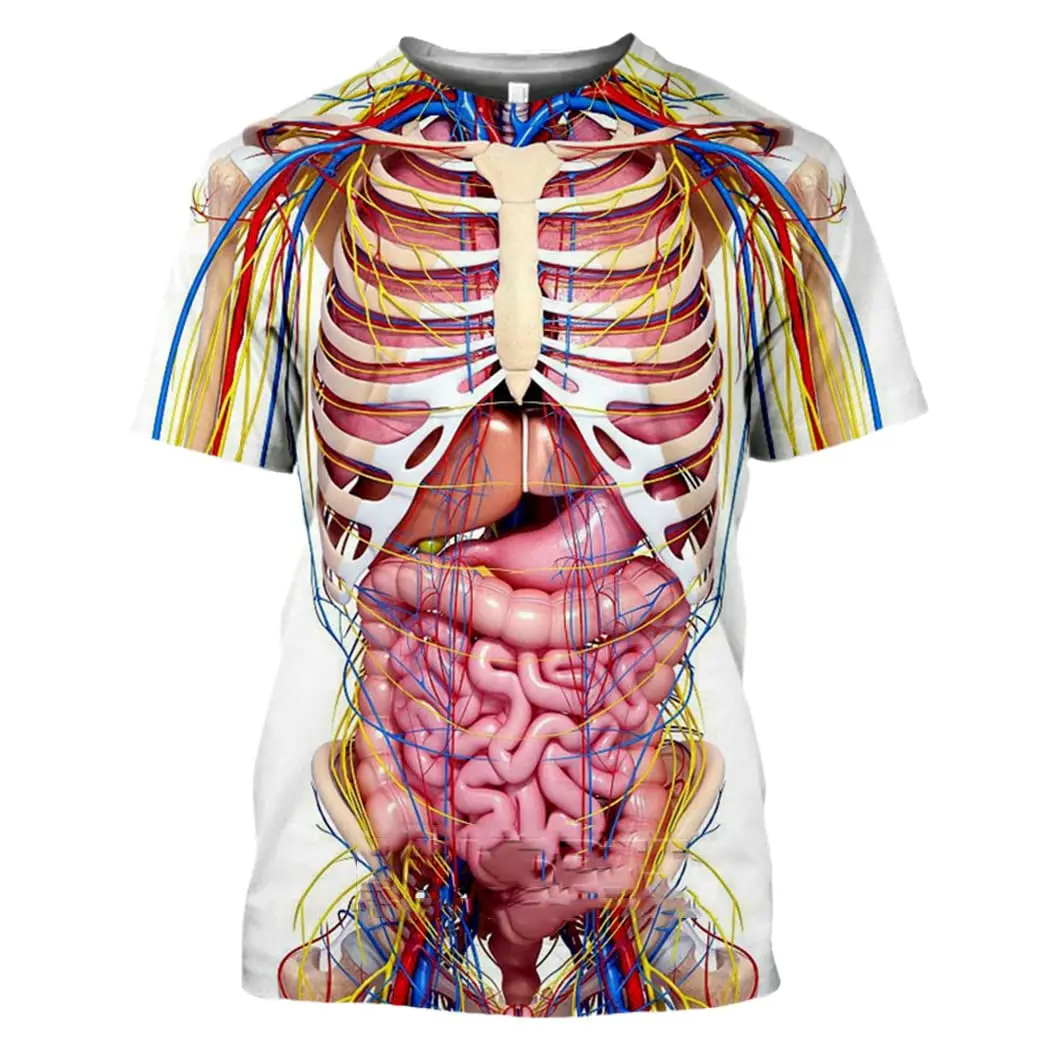 Male Skeleton Internal Organs  - 3D Printing Diagram 리뷰 및 가격