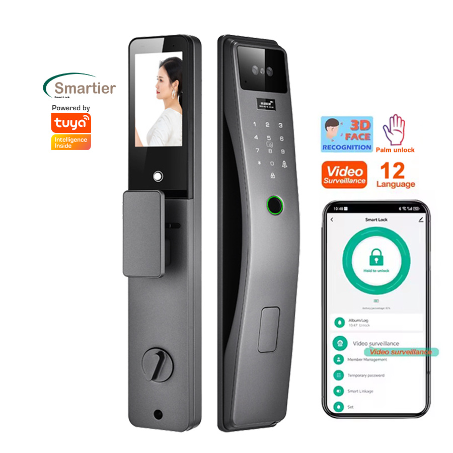 Smartier 3D Face Recognition S - 3D Printing Stainless Steel 리뷰 및 가격