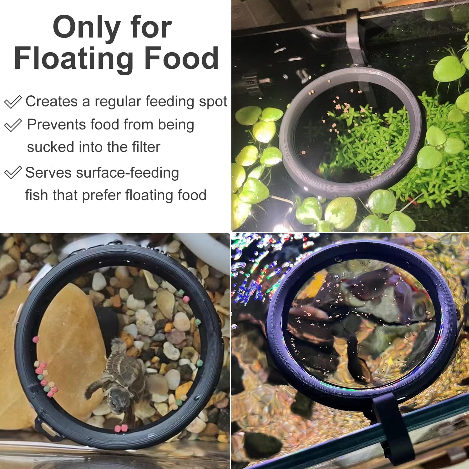 3D Printed Fish Feeding Ring F - 3D Printing Food 리뷰 및 가격