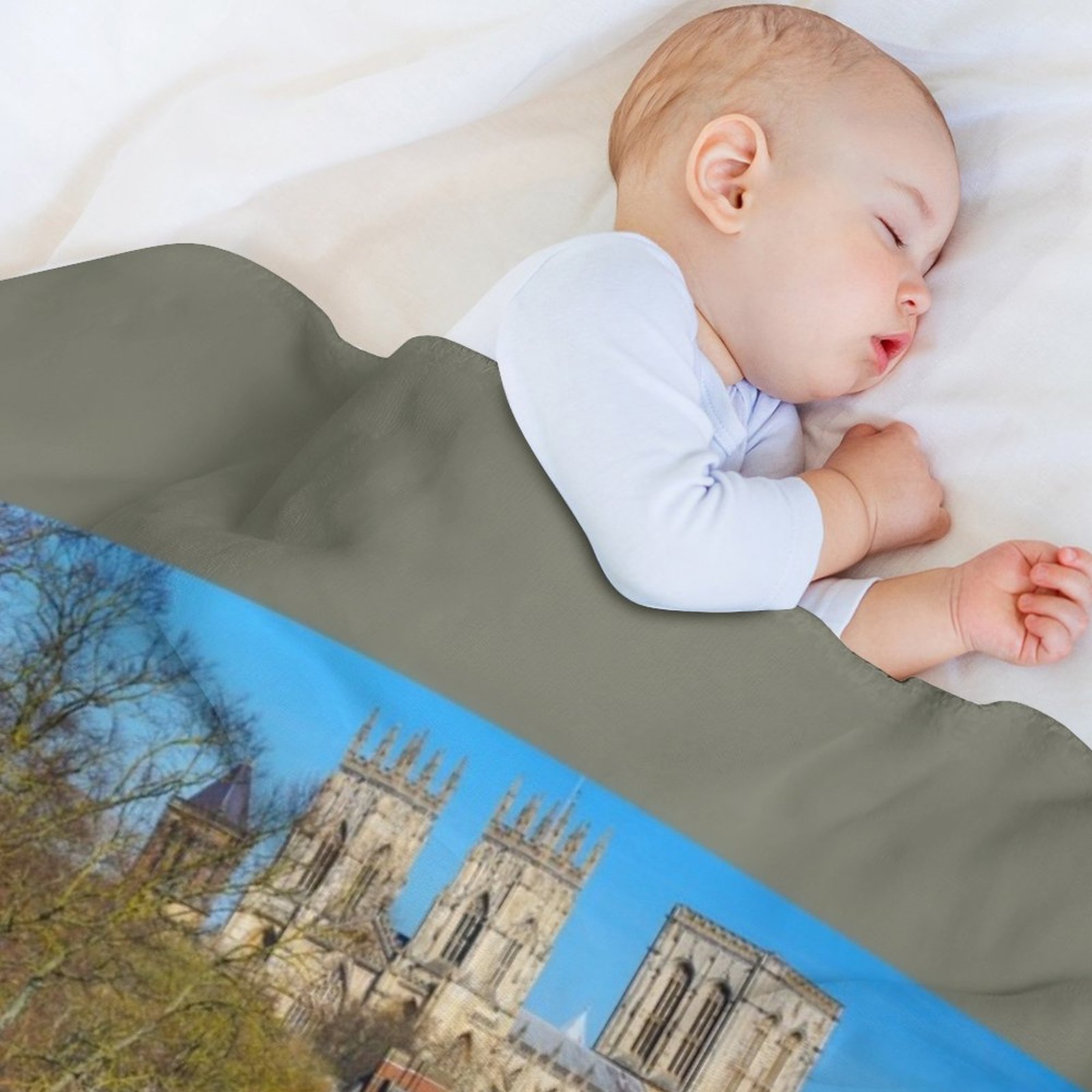 York Minster Throw Blanket War - 3D Printing York 리뷰 및 가격
