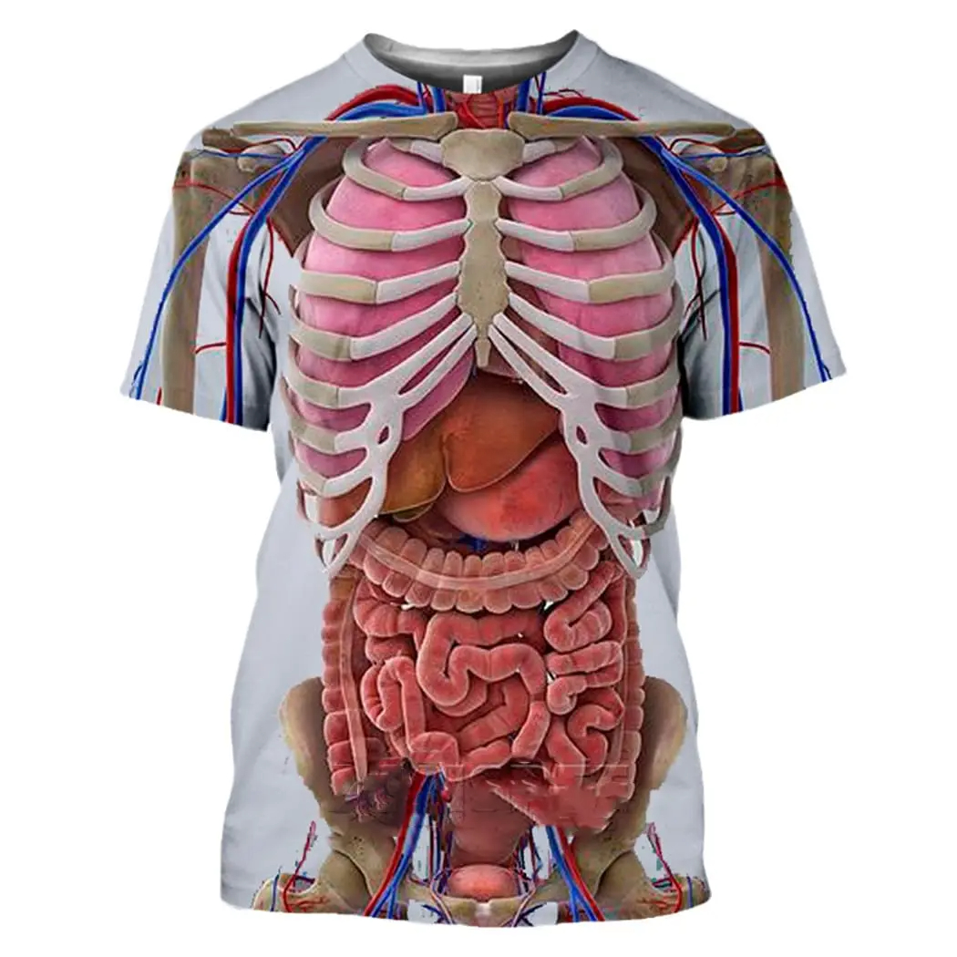 Male Skeleton Internal Organs  - 3D Printing Diagram 리뷰 및 가격
